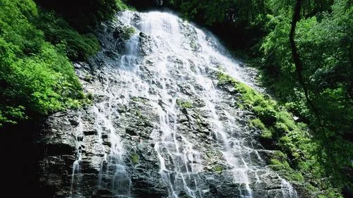 高端数字化高质量